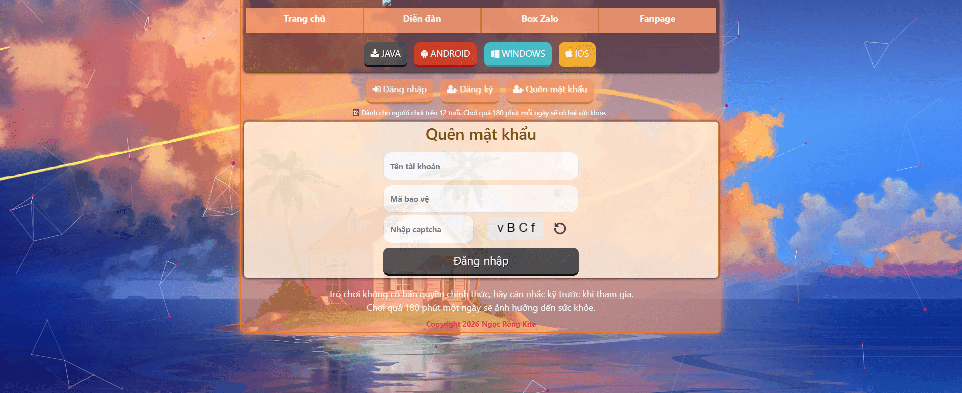 Ảnh 5